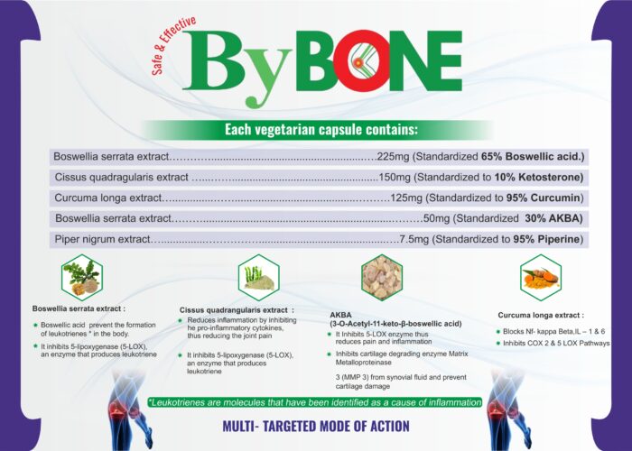 bybone pdf_page-0002